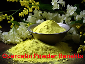 What Is Quercetin Powder Good For?